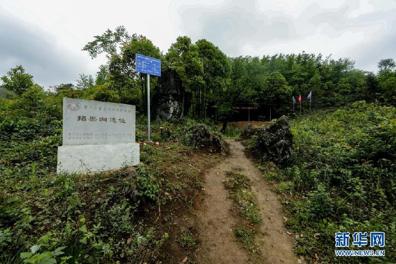 新华全媒+|“洞”见四万年——探访贵州贵安新区招果洞遗址