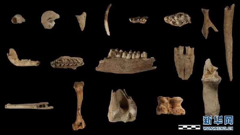 新华全媒+|“洞”见四万年——探访贵州贵安新区招果洞遗址
