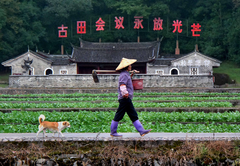 从“石库门”到“天安门”——中国革命圣地巡礼 从“石库门”到“天安门”——中国革命圣地巡礼