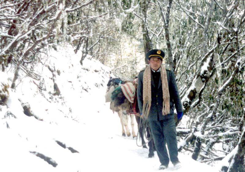 大党百年间 大党百年间