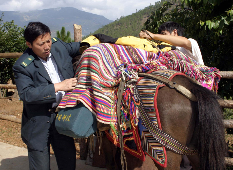 大党百年间 大党百年间