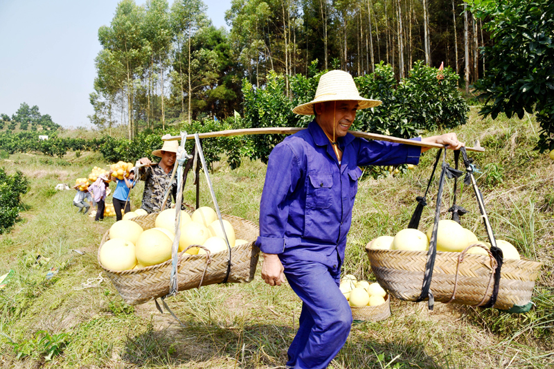 56个民族一起奔小康
