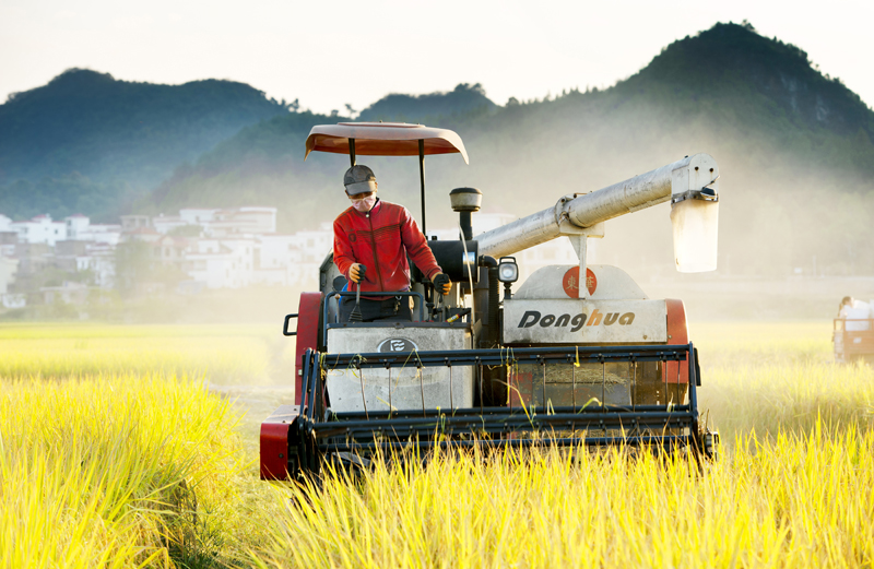 经济社会 经济社会