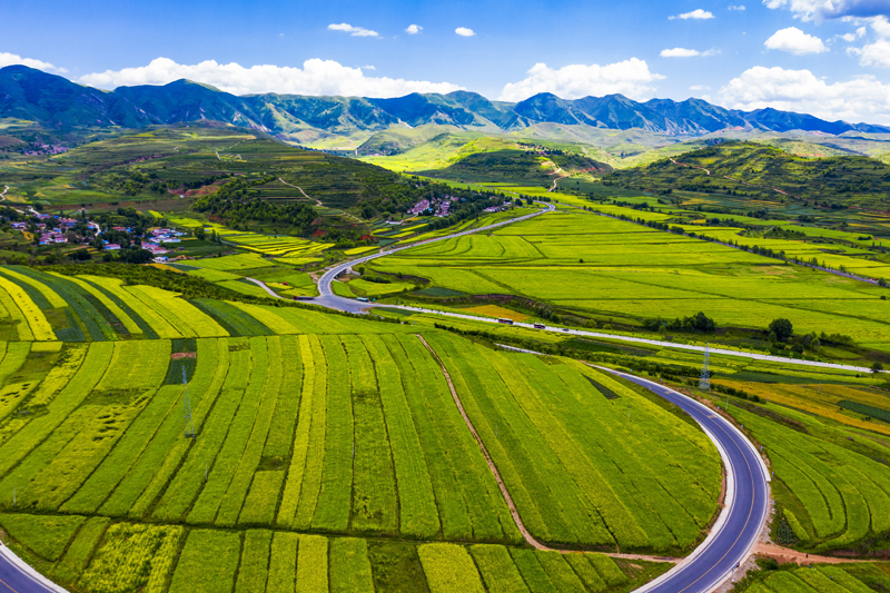 经济社会 经济社会