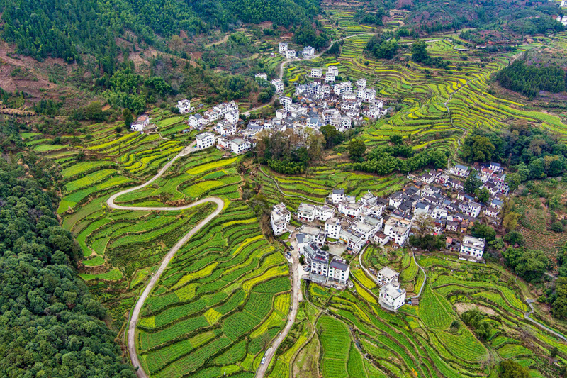 经济社会 经济社会