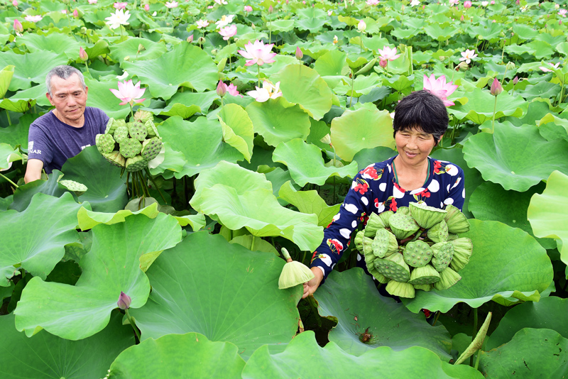 经济社会 经济社会