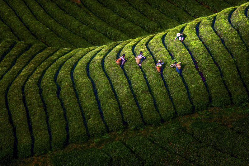 经济社会 经济社会