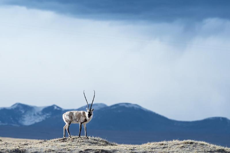 红色记忆-珍贵瞬间 红色记忆-珍贵瞬间