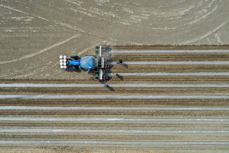 从“坎土曼”到“无人机”——田间地头看新疆高质量发展 从“坎土曼”到“无人机”——田间地头看新疆高质量发展