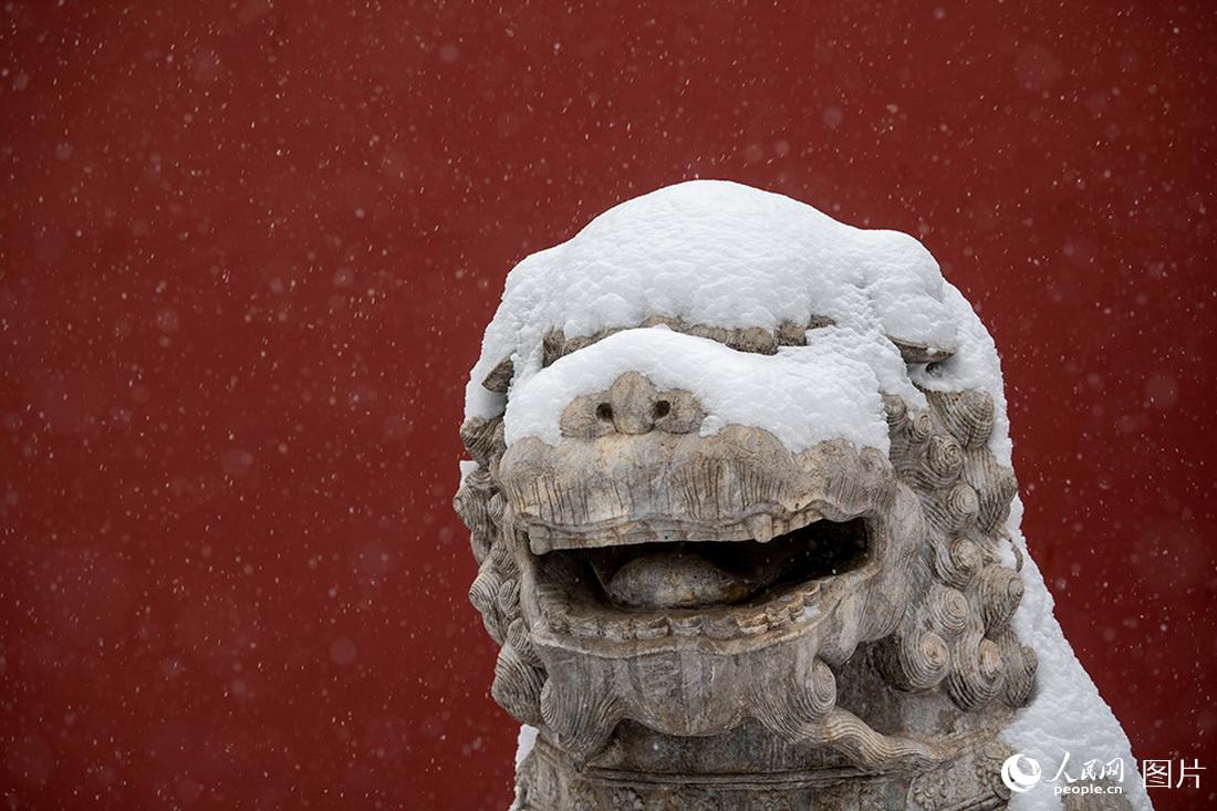 2月13日，景山公园，被白雪覆盖的石狮，憨态可掬。人民网翁奇羽摄