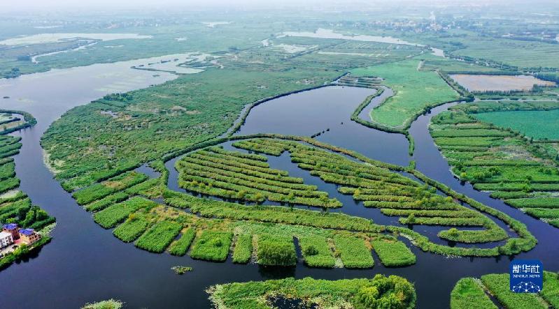 奋进新征程 建功新时代·伟大变革|从“深圳速度”到“雄安质量”——雄安新区建设一线采访记