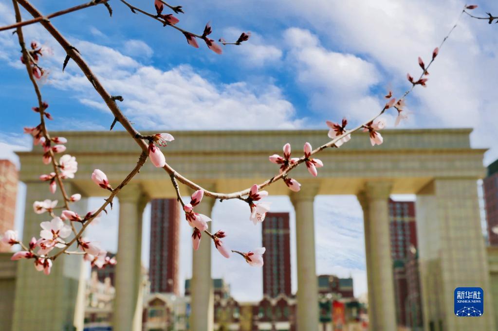 疫情下，让我们 “云”赏校园春光