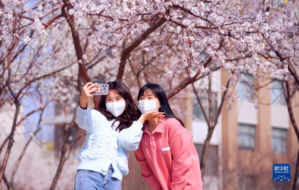 疫情下，让我们 “云”赏校园春光