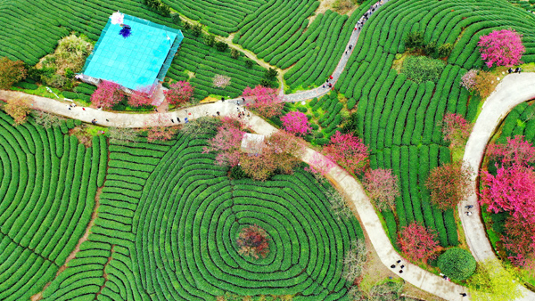 2022年旺旺杯“春节七天乐”新闻摄影征集活动定评会举行 2022年旺旺杯“春节七天乐”新闻摄影征集活动定评会举行