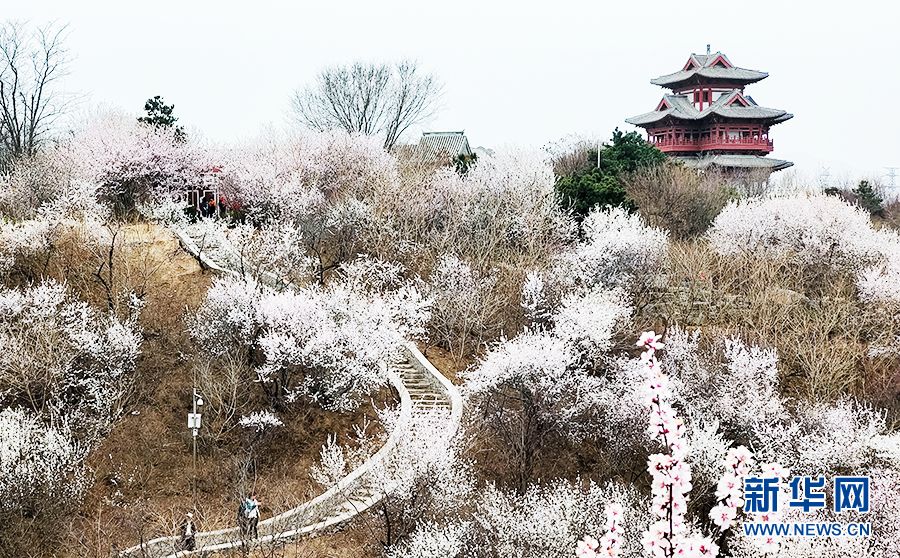 【光影轻课堂】如何运用线条增加摄影美感？