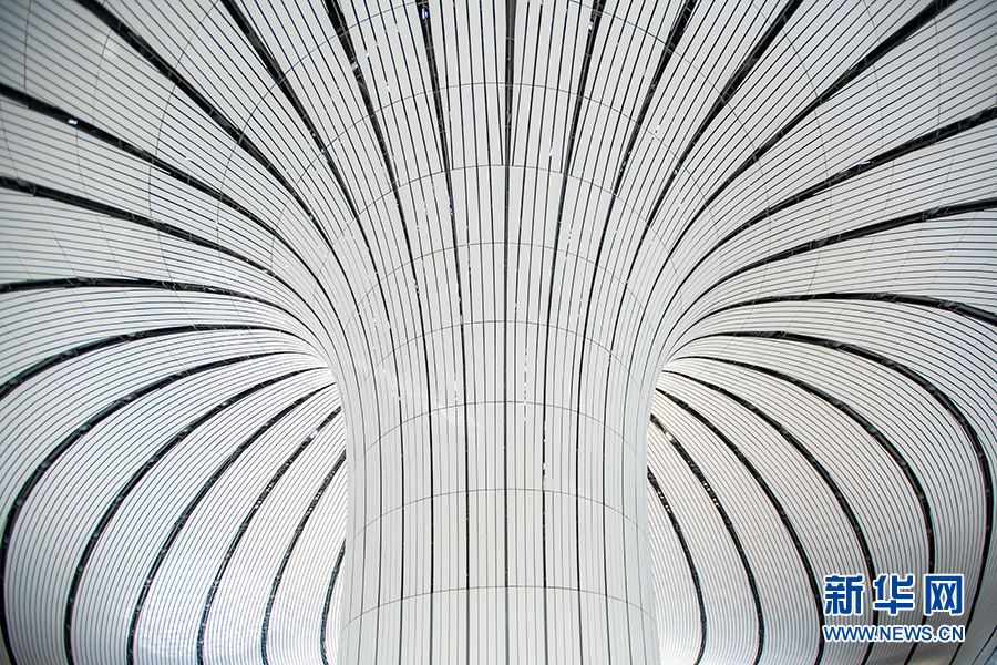 【光影轻课堂】如何运用线条增加摄影美感？