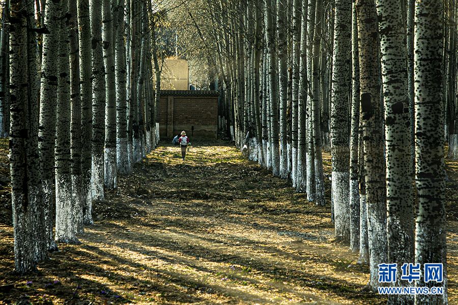 【光影轻课堂】如何运用线条增加摄影美感？