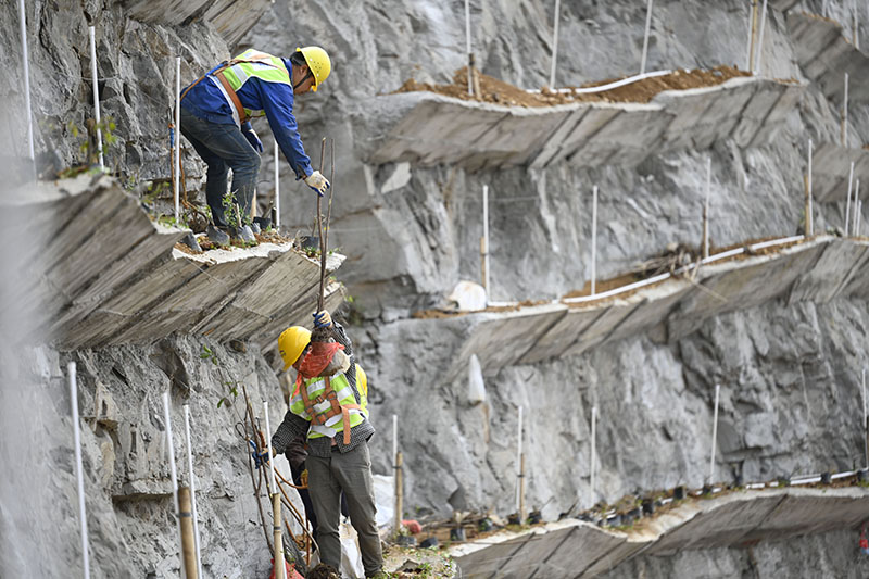 勇攀“天梯” 还“绿”于山 勇攀“天梯” 还“绿”于山