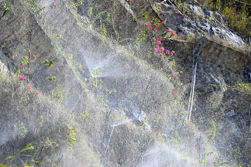 勇攀“天梯” 还“绿”于山 勇攀“天梯” 还“绿”于山