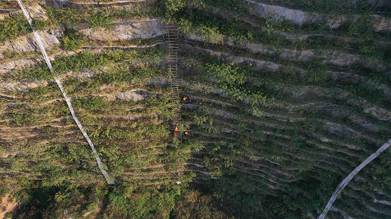 勇攀“天梯” 还“绿”于山 勇攀“天梯” 还“绿”于山