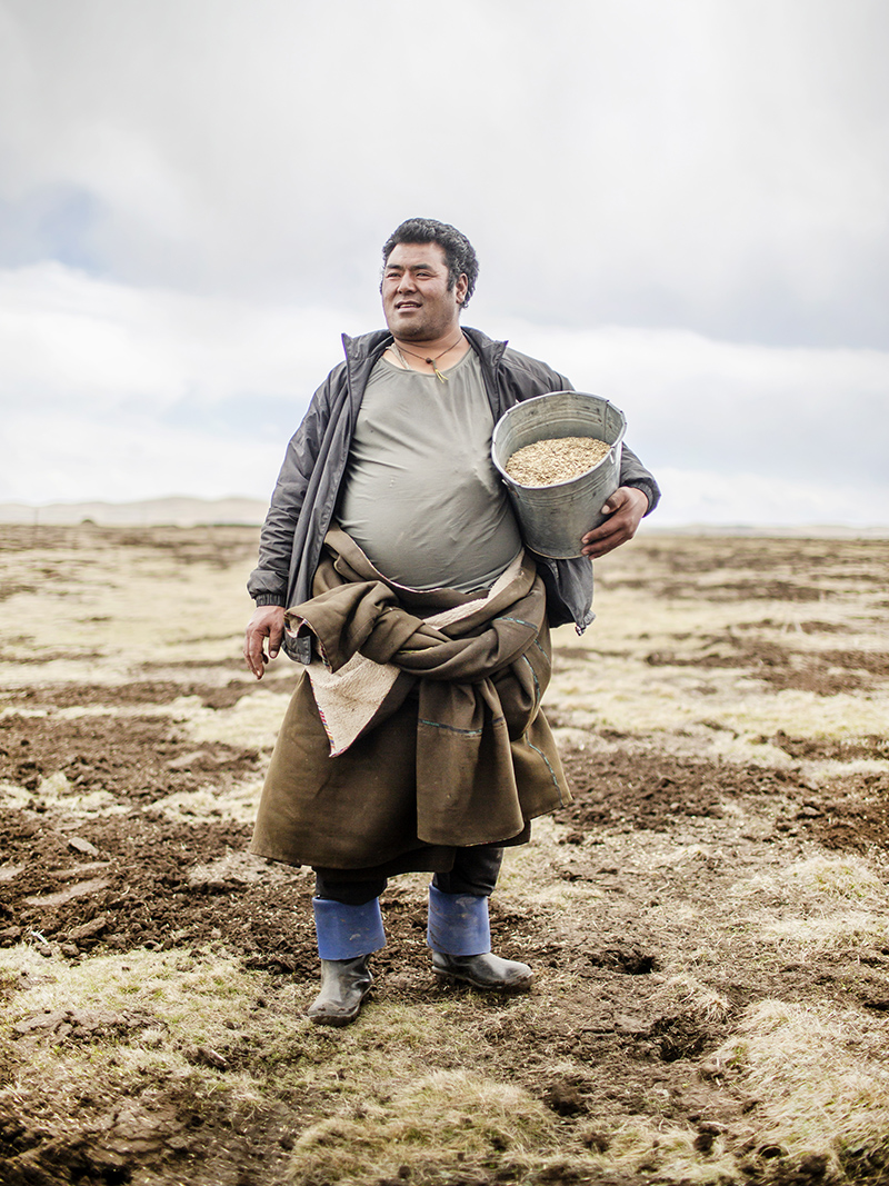 播绿黑土滩 播绿黑土滩