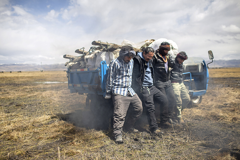 播绿黑土滩 播绿黑土滩