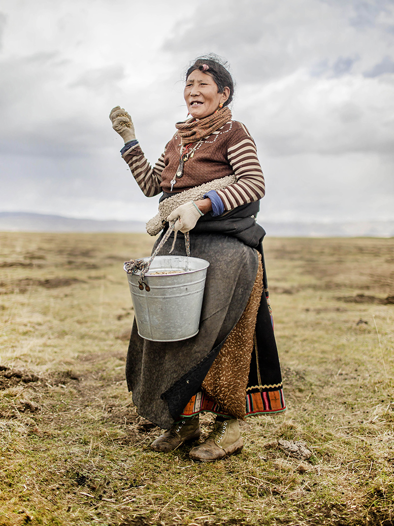 播绿黑土滩 播绿黑土滩