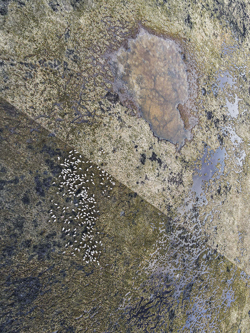 播绿黑土滩 播绿黑土滩