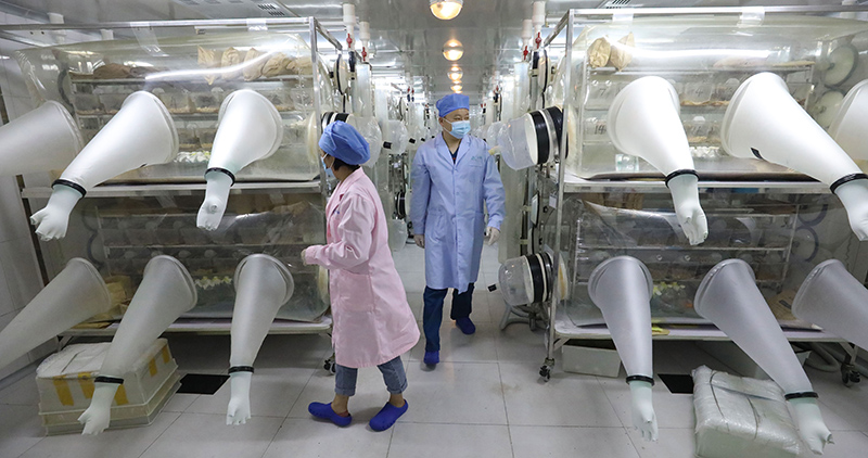 Scientists give thanks to lab friends 动物模型:疫情防控的另一条战线 Scientists give thanks to lab friends 动物模型:疫情防控的另一条战线