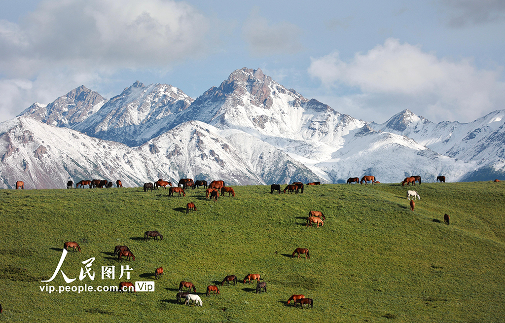 甘肃山丹马场：雨后草原风光如画