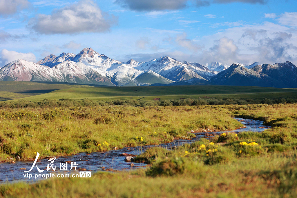 甘肃山丹马场：雨后草原风光如画【3】