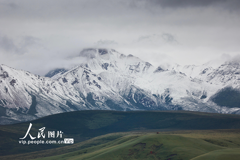 甘肃山丹马?。河旰蟛菰绻馊缁?】
