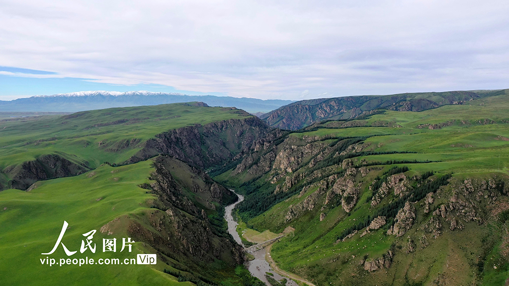 甘肃山丹马?。河旰蟛菰绻馊缁?】