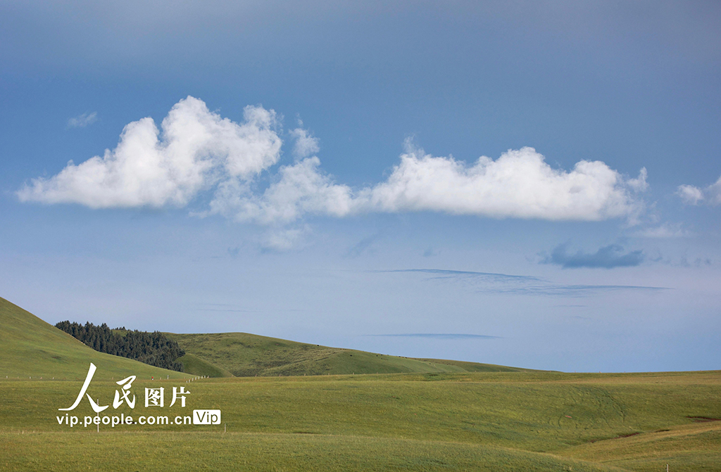 甘肃山丹马?。河旰蟛菰绻馊缁?0】