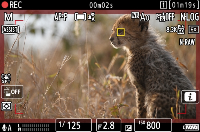 尼康发布截至2023年3月财年一季度财报