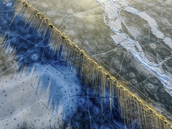 高原摄影诗人普布扎西 那人生最美好的时光 高原摄影诗人普布扎西 那人生最美好的时光