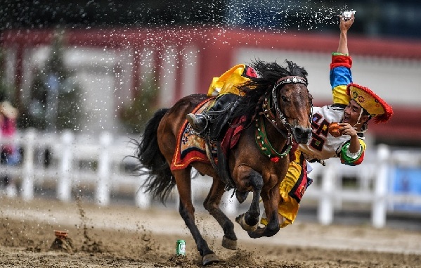 高原摄影诗人普布扎西 那人生最美好的时光 高原摄影诗人普布扎西 那人生最美好的时光