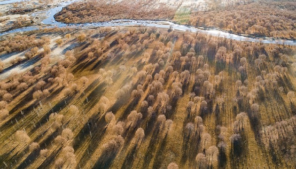 高原摄影诗人普布扎西 那人生最美好的时光 高原摄影诗人普布扎西 那人生最美好的时光