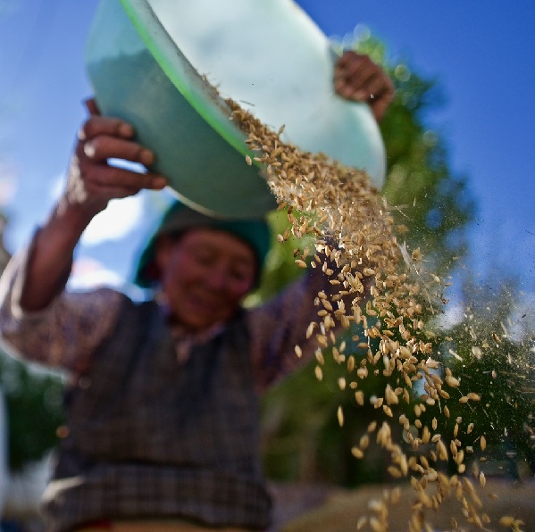 高原摄影诗人普布扎西 那人生最美好的时光 高原摄影诗人普布扎西 那人生最美好的时光