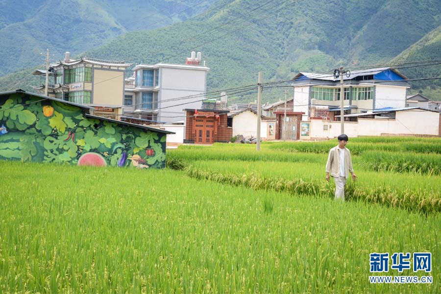 “95后”墙绘师回乡 把村子画成打卡点 “95后”墙绘师回乡 把村子画成打卡点