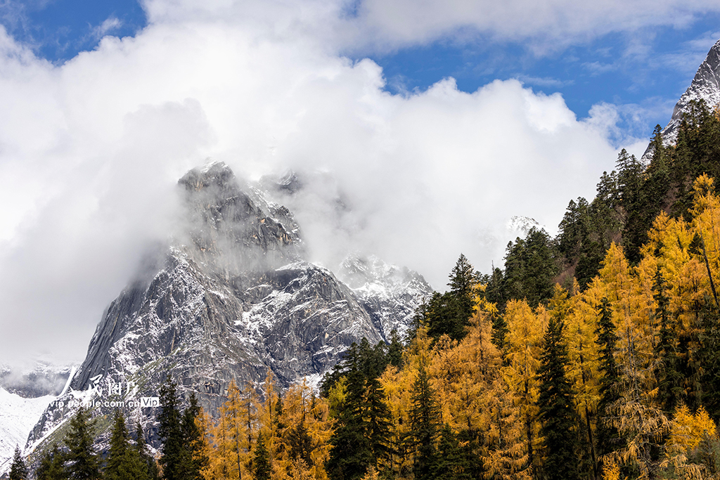 四姑娘山景区秋色如画