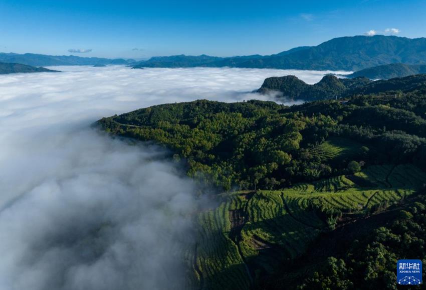 无人机航拍视角:云南临沧苍茫云海间 无人机航拍视角:云南临沧苍茫云海间