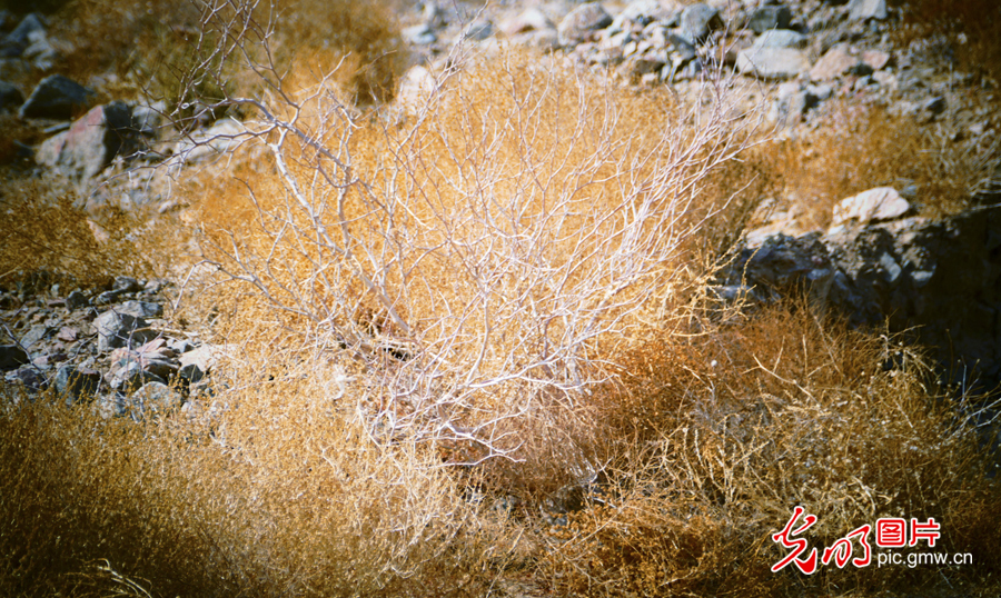 甘肃：探访祁连山——高台马营河大峡谷、小泉丹霞