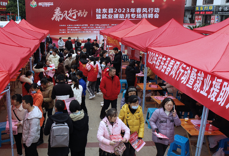 就业“春风”暖万家