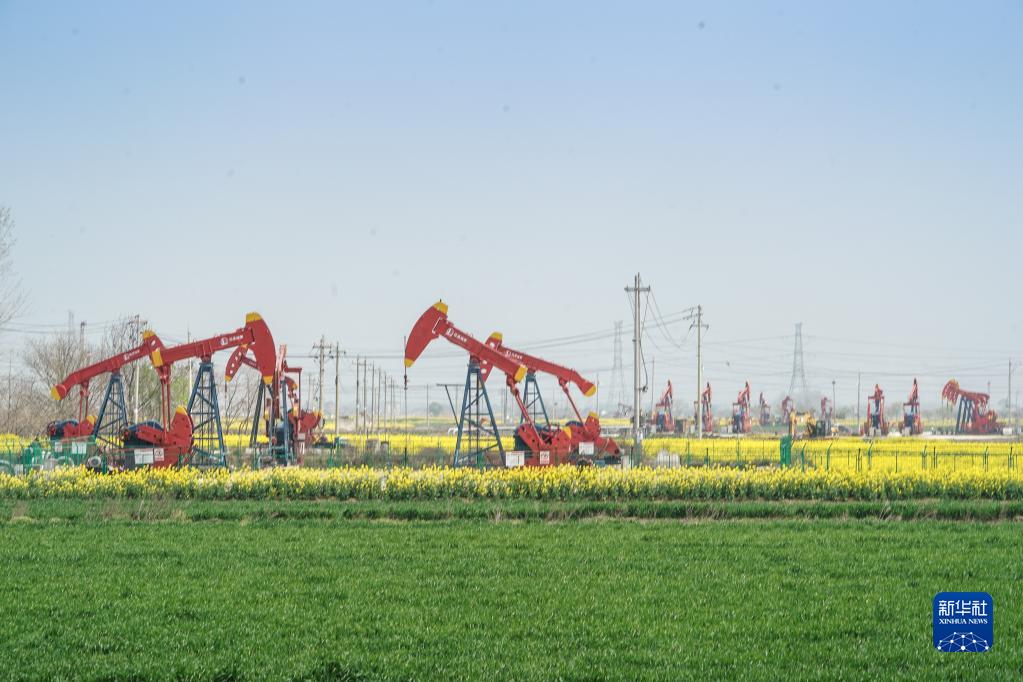 水乡景色美 水乡景色美