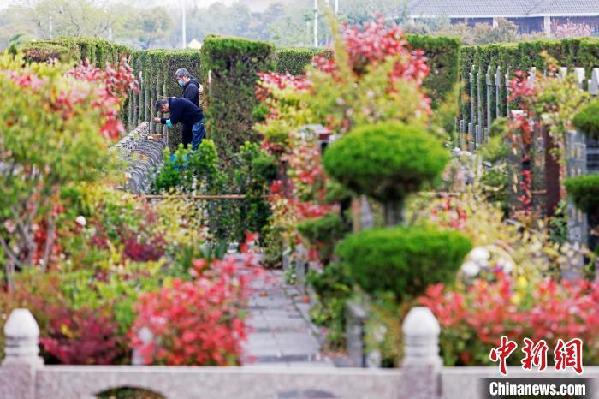 上海:警用直升机与无人机叠加巡逻 确保清明祭扫活动安全有序