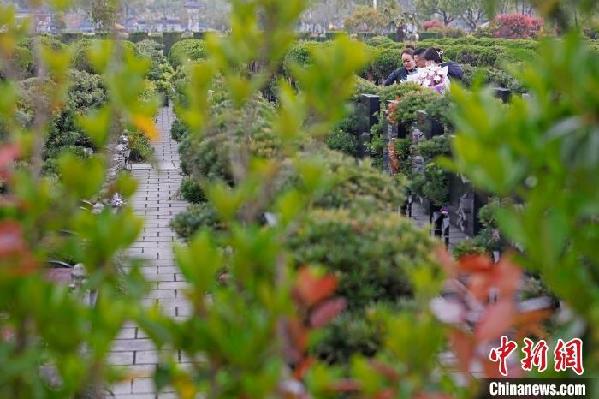 上海:警用直升机与无人机叠加巡逻 确保清明祭扫活动安全有序