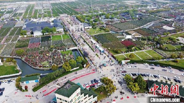 上海:警用直升机与无人机叠加巡逻 确保清明祭扫活动安全有序