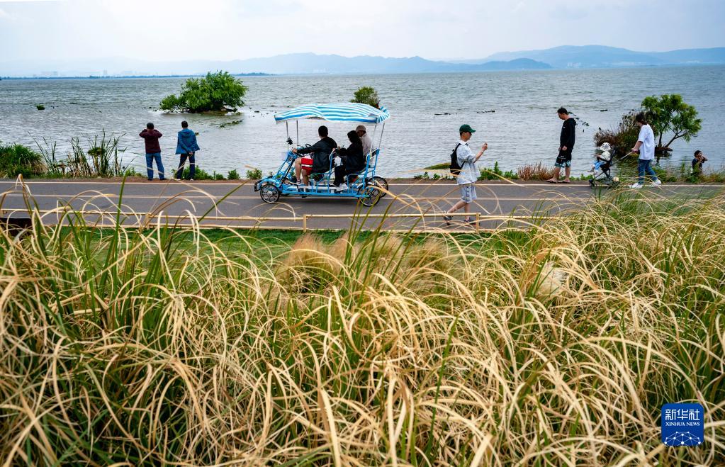 小渔村:依托滇池 生态富民