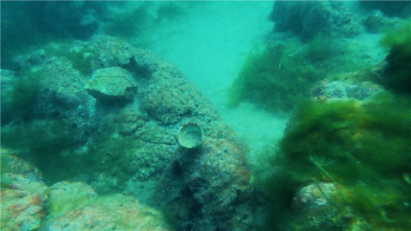 跟着水下无人机“探秘”云南抚仙湖！